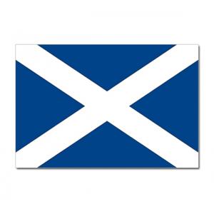 Vlag Schotland - 90 x 150 cm - Schotse Vlag - Scotland