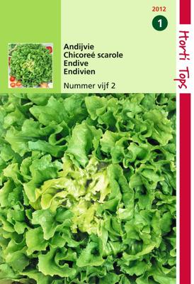 Zaden Andijvie Nummer Vijf 2 Hortitops - Hortitops