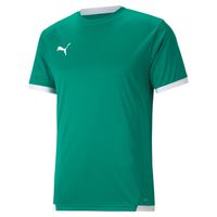 PUMA teamLIGA Voetbalshirt Groen Wit