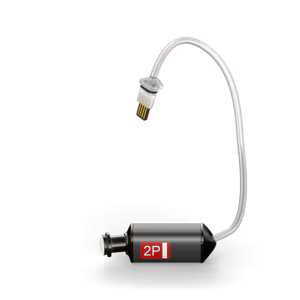 Phonak Receiver 6.0 P - 2R