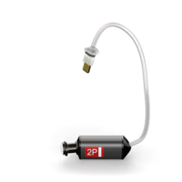 Phonak Receiver 6.0 P - 2R