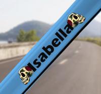 Schedel illustratie fiets naamstickers