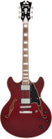 D&apos;angelico Premier DC Burnt Red