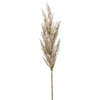 Fleurdirect Grass Pampas kunstplant