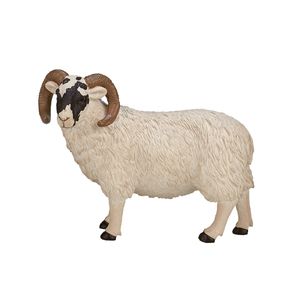 Mojo farmland zwartkopschaap ram 387081