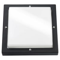 SG LED verlichting Bassi 10W 3000K zwart vierkant slagvast