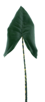 Calla lily leaf green 104 cm kunstbloem - Nova nature