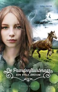 Een stille droom (Hardback)
