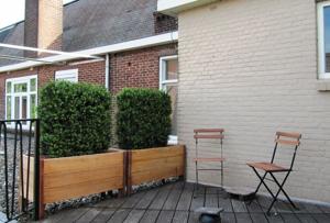 Buxus deluxe kunstheg 80x100cm - UV bestendig