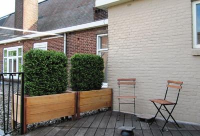 Buxus deluxe kunstheg 80x100cm - UV bestendig