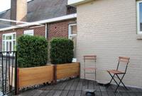 Buxus deluxe kunstheg 80x100cm - UV bestendig