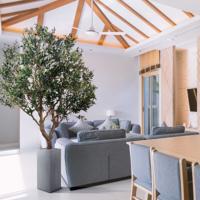 Kunst Olijfboom XL op plaat 300cm