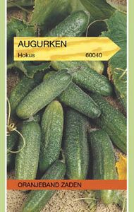 Augurk