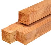 Paal douglas 9,0x9,0x300 cm Tuindeco - Tuindeco
