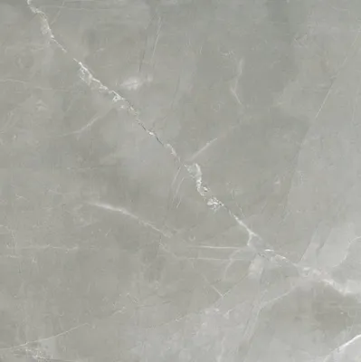 Florim Timeless 744866 Vloertegel 600X600 Grey 9Mm Mat Ret.R9