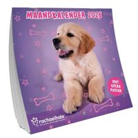 Rachael Hale Honden Kalender 2026