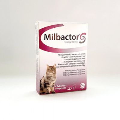 Milbeguard (Milbactor) Duo 16/40 mg ontworming kat (vanaf 2 kg) 4 tabletten