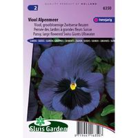 Viola zaden Ullswater/Alpenmeer viooltje - thumbnail