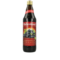 Rabenhorst Bosbessen/blauwe bes nektar bio 750 Milliliter
