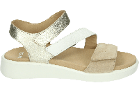 Ara 1221407 MADEIRA-S - alle