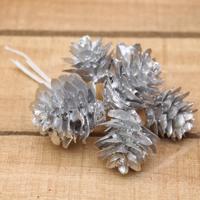 Bonbon doosjes - Chocolade doosje - Zilver dennenappel - 30 stuks