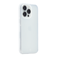 BodyGuardz Carve case iPhone 13 Pro