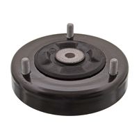 Veerpootvoering 08965