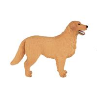 Mojo farmland golden retriever 387198
