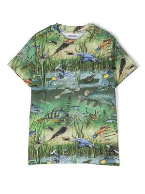 Molo t-shirt en coton biologique à imprimé graphique - Vert Molo t-shirt en coton biologique à imprimé graphique - Vert