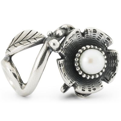 Trollbeads TAGBE-00288 Kraal Omringd door Bloemen zilver
