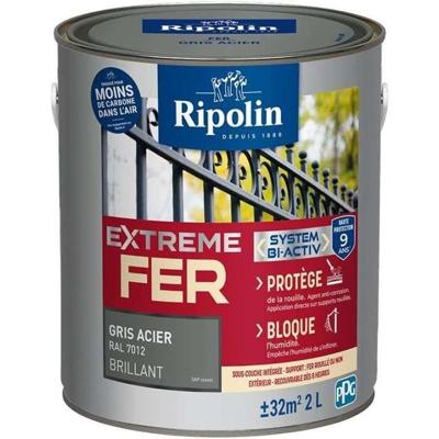 Extreem ijzerstaalgrijs RAL 7012 glanzend - RIPOLIN - 2 L