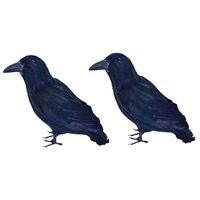 2x Raven met veren
