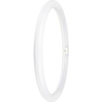 LEDVANCE LED-buis-Globe Energielabel: E (A - G) G10q 24 W Daglichtwit 1 stuk(s) (Ø x l) 400.00 mm x 400.00 mm
