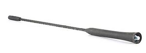 Antenne BSG30922112
