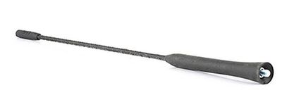 Antenne BSG30922112