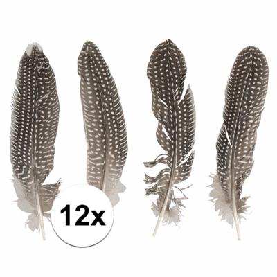 Decoratie - veren - Fazant - set van 12x stuks - Sierveren - 22cm