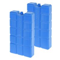 Koelelement blok van 750 gram - 2x - blauw - kunststof - voor koelbox en koeltas