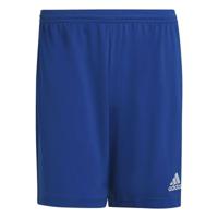 Voetbal Trainingsbroeken voor Volwassenen Adidas Ent22 Blauw Maat L