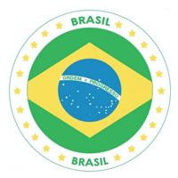 Bierviltjes Brazilie vlag thema print - 25x stuks - carton - landen versiering