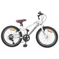 VidaXL Mountainbike 20 inch 6-speed voor 5-8 jaar oud wit