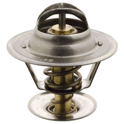 Thermostaat 17884