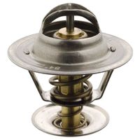 Thermostaat 17884