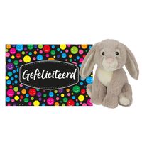 Pluche knuffel cadeau Konijn 19 cm met A5-size Gefeliciteerd wenskaart - thumbnail