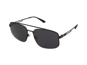 Zonnebrillen Emporio Armani EA2139 300187