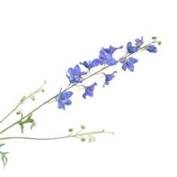 Silk-ka Kunstbloem-Zijden Bloem-Delphinium Tak Zijde Blauw 101 cm