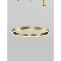 Lyora HanglampMotif goud Ø 60cm 2700-6500K - 9530206