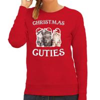 Katten Kittens Kersttrui sweater - voor dames - Christmas cuties - rood - Kerstkleding