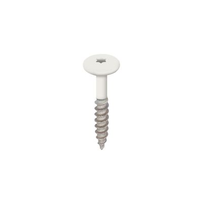 Torx schroef RVS 32 mm Wit - Heering (2890)