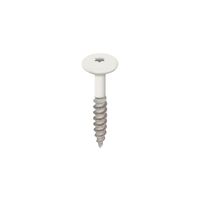 Torx schroef RVS 32 mm Wit - Heering (2890)