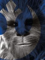 Kunstdruk Star Wars - Episode IX Chewbacca 30x40cm